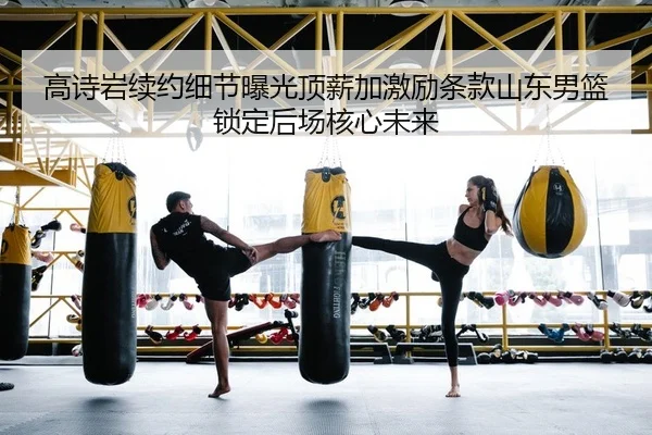 gao-shi-yan-xu-yue-xi-jie-bao-guang-ding-xin-jia-ji-li-tiao-kuan-shan-dong-nan-lan-suo-ding-hou-chang-he-xin-wei-lai-2-604.jpg